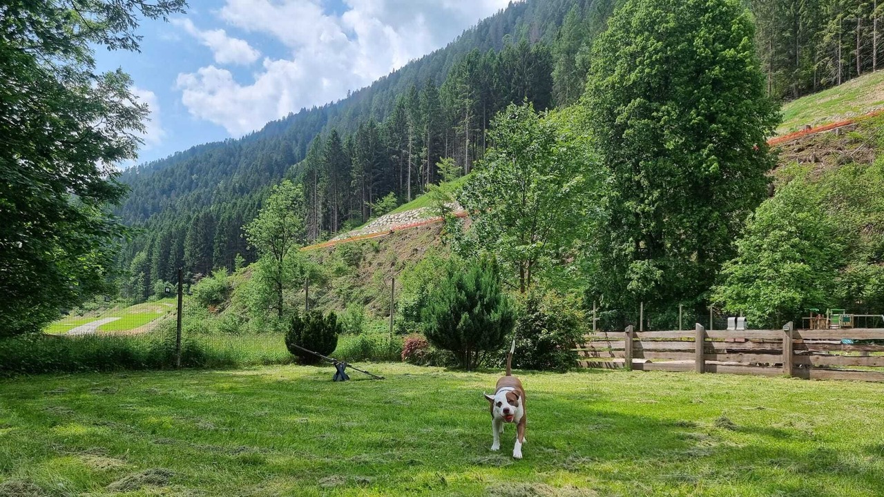 Photo of Outdoor in Pinzolo