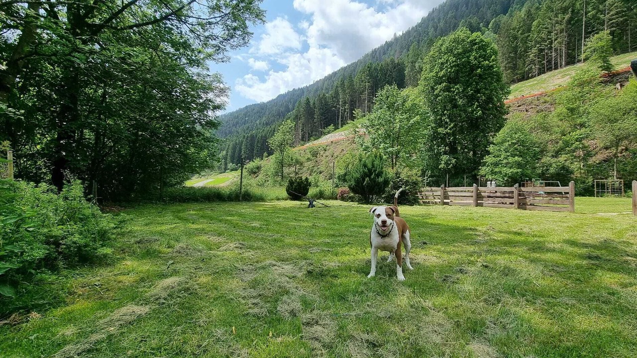 Photo of Outdoor in Pinzolo