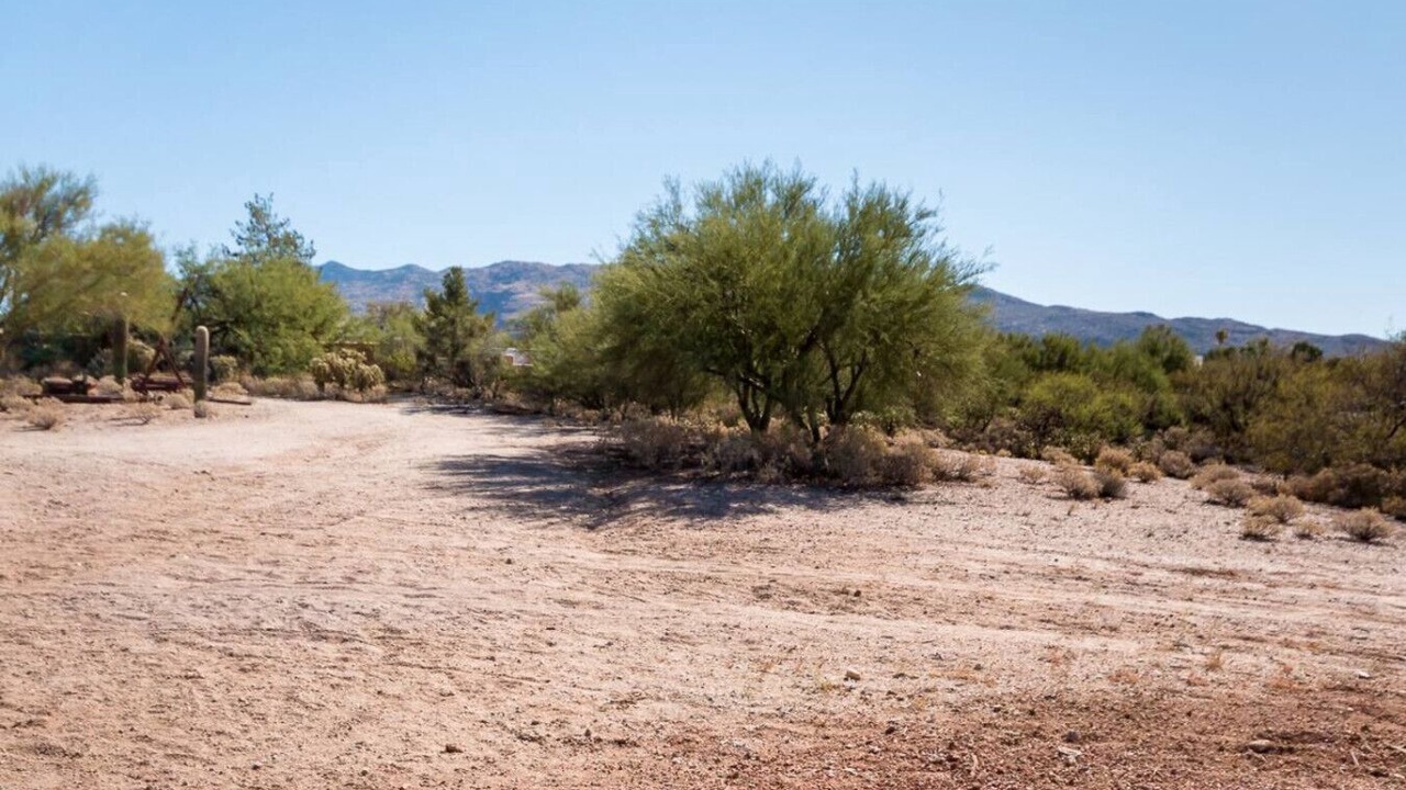 Photo of Others in Saguaro Shadows