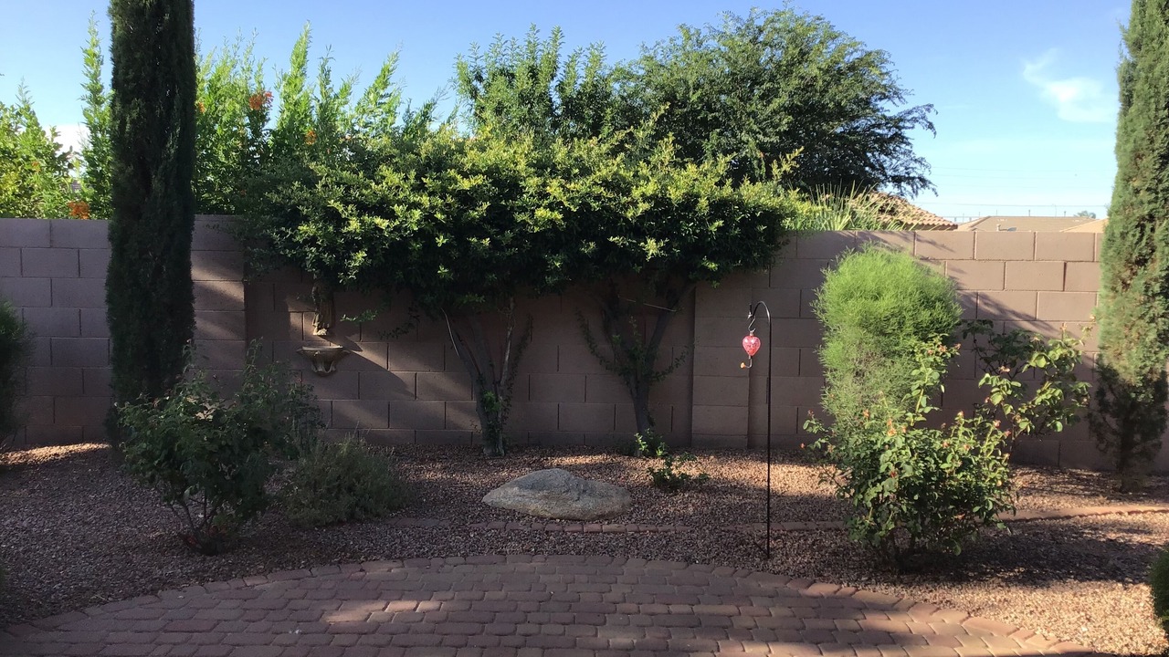 Photo of Outdoor in Springfield Lakes