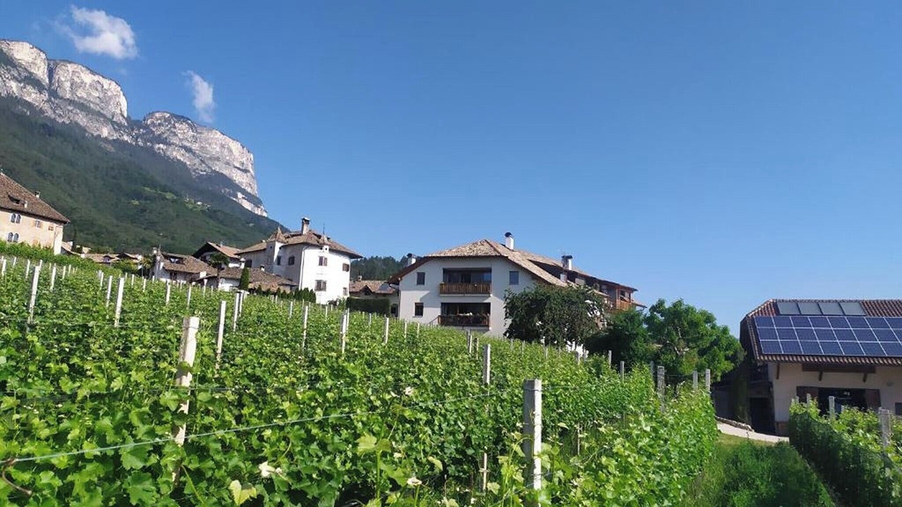 Photo of Outdoor in Berg/Monte