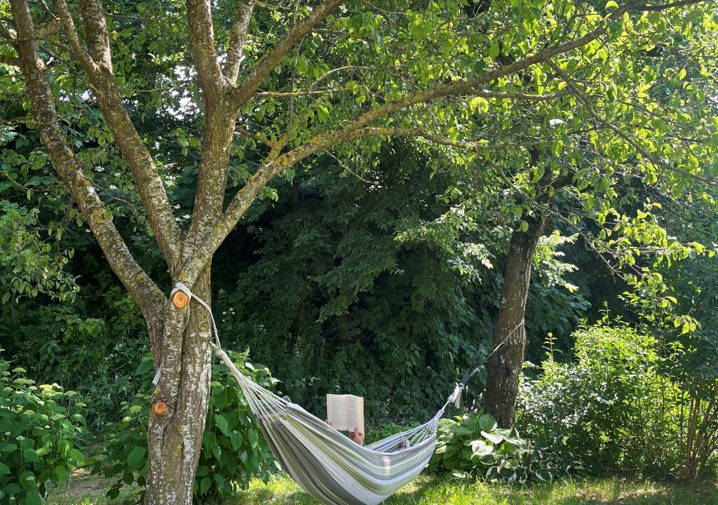 Photo of Outdoor in Ronzo-Chienis