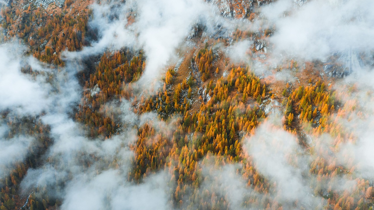 Photo of Outdoor in Ranzo