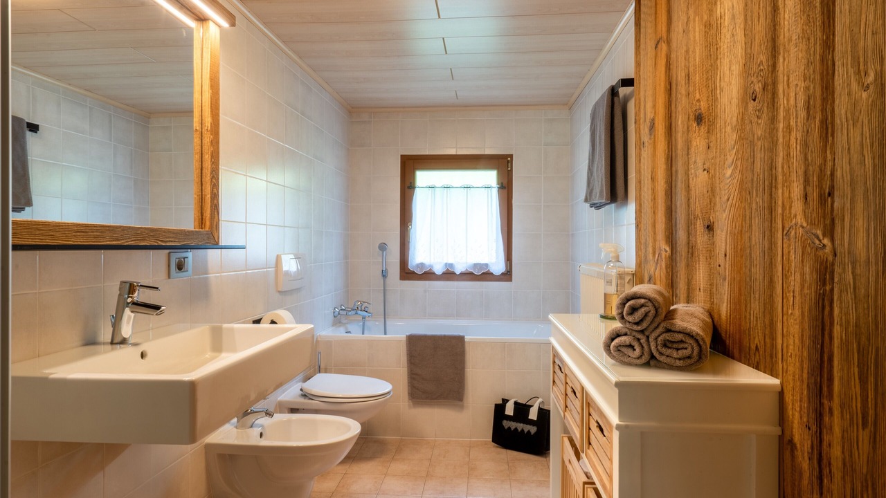 Photo of Bathroom in Gais