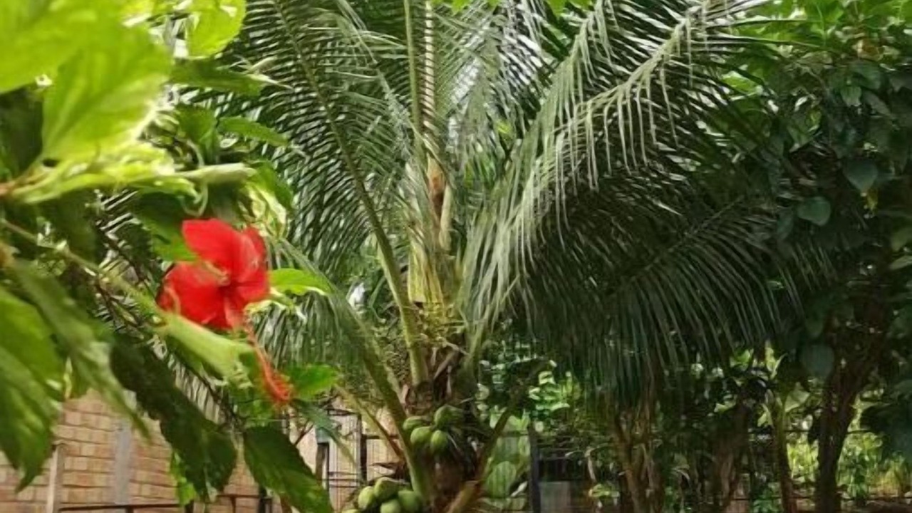 Photo of Outdoor in Tarapoto