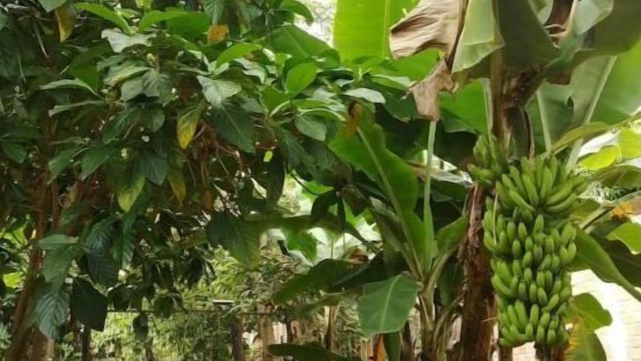 Photo of Outdoor in Tarapoto