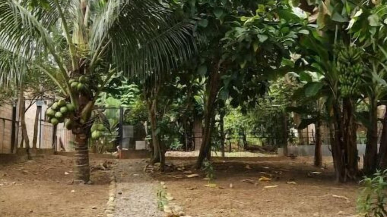 Photo of Outdoor in Tarapoto