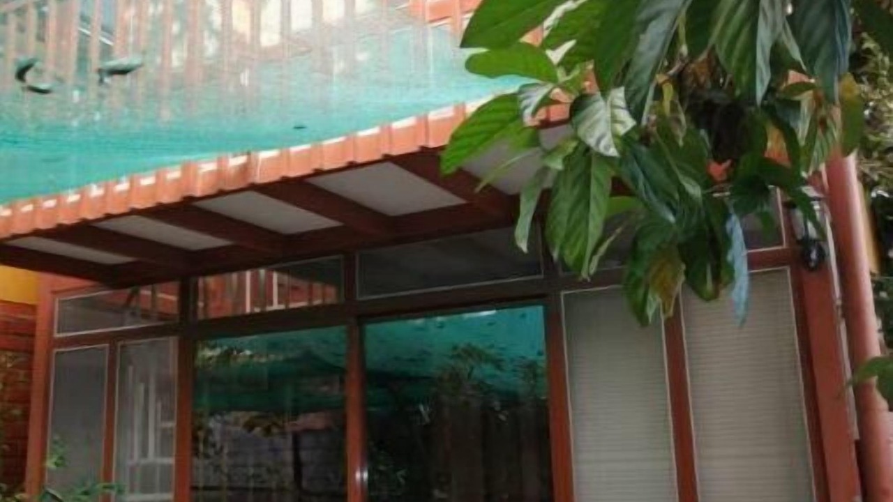 Photo of Outdoor in Tarapoto