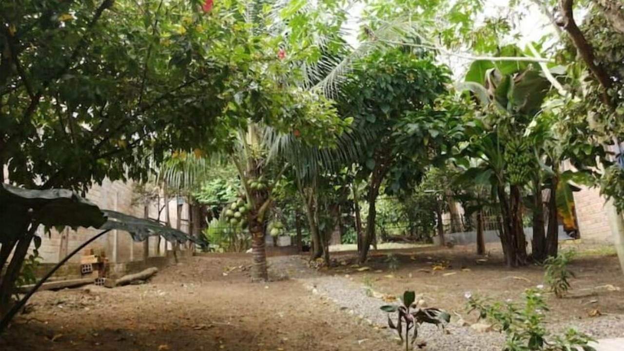 Photo of Outdoor in Tarapoto