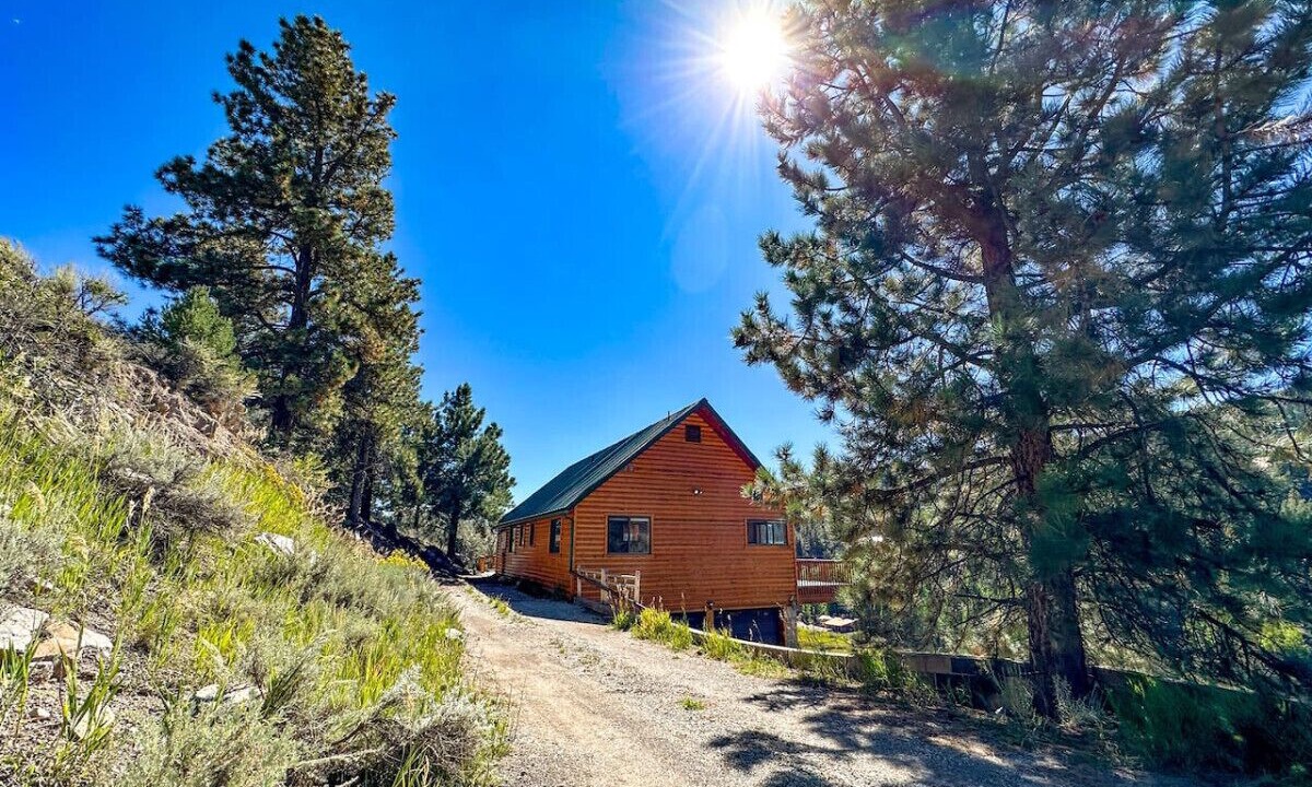 Photo of Outdoor in Mammoth Creek