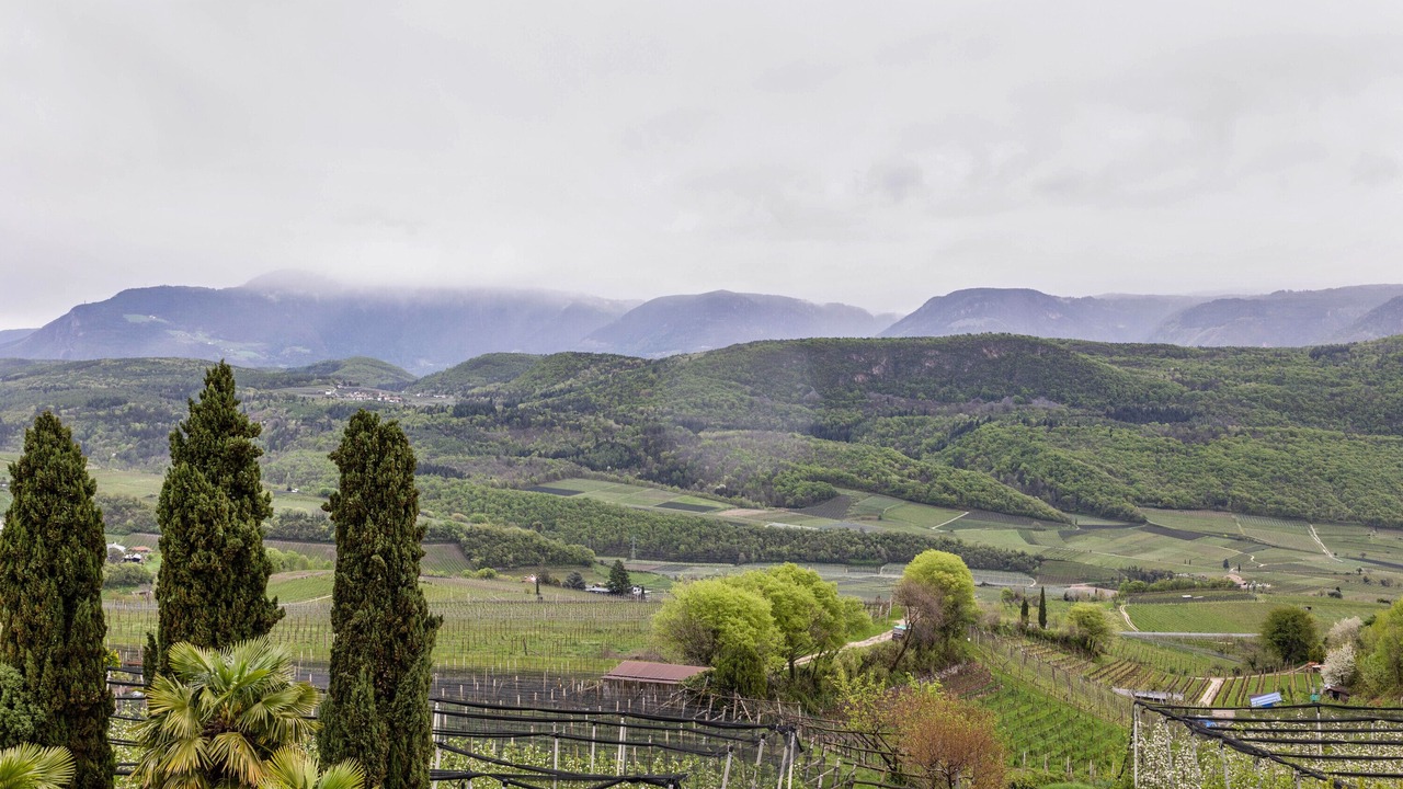 Photo of Others in Caldaro Sulla Strada del Vino