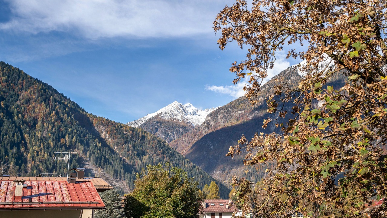 Photo of Others in Pinzolo