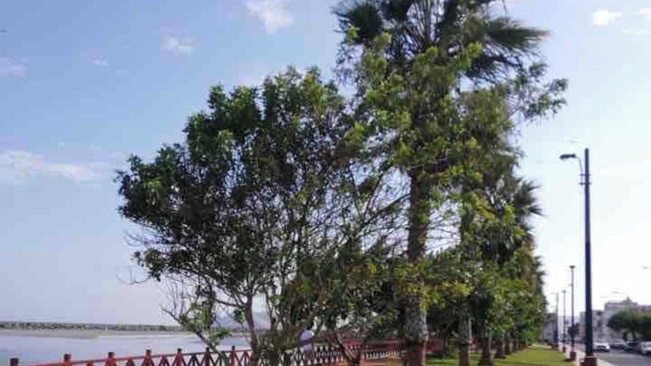 Photo of Outdoor in Callao