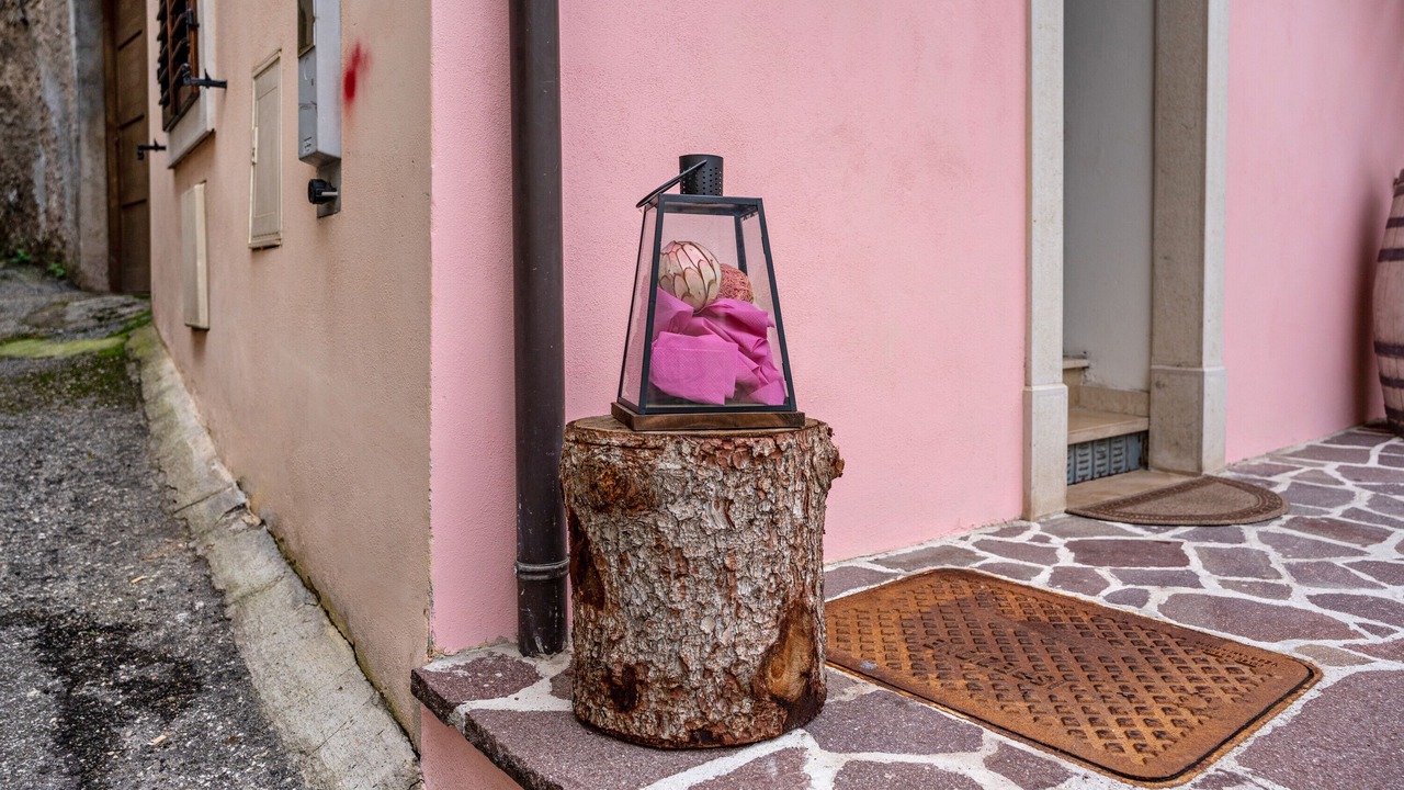 Photo of Outdoor in Mezzolombardo