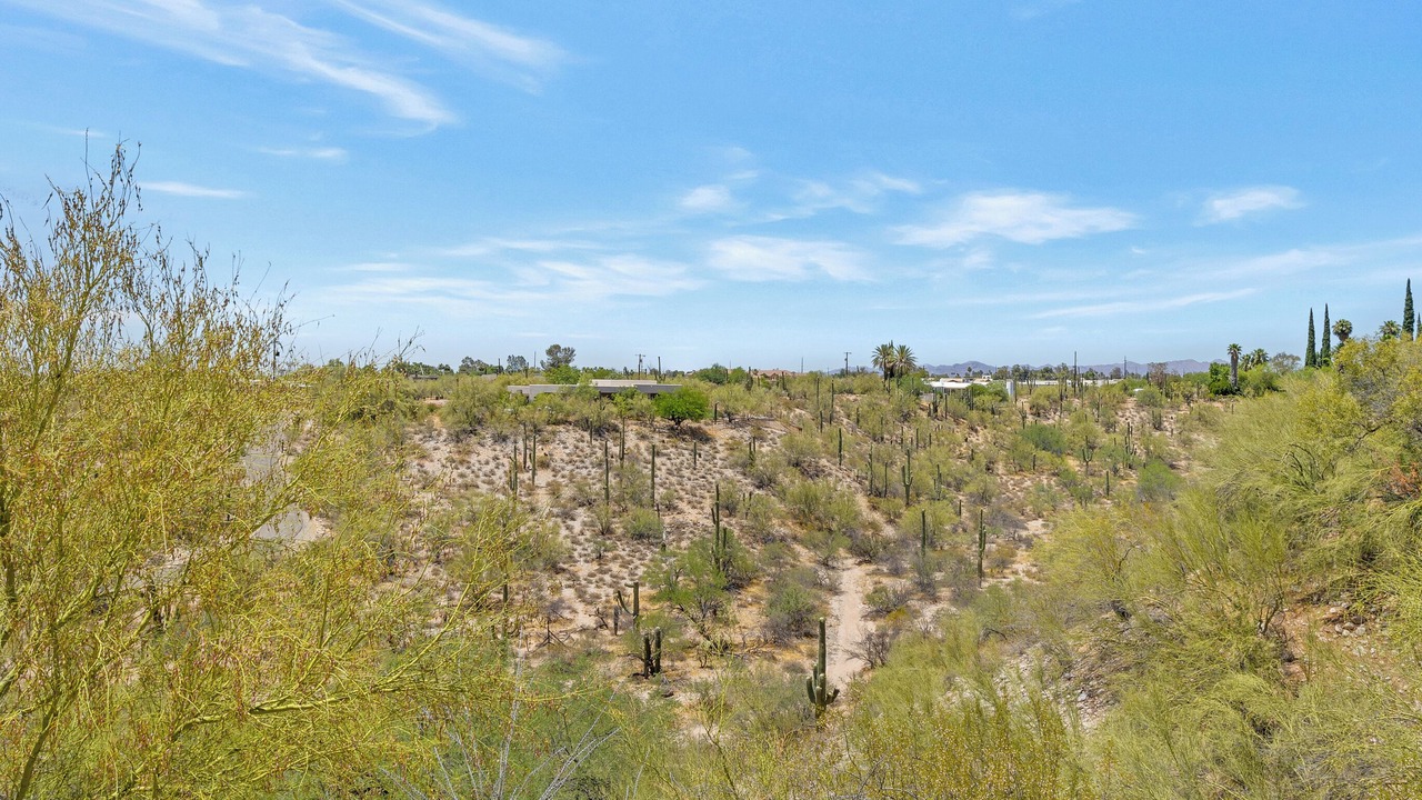 Photo of Outdoor in Oracle Foothills Estates