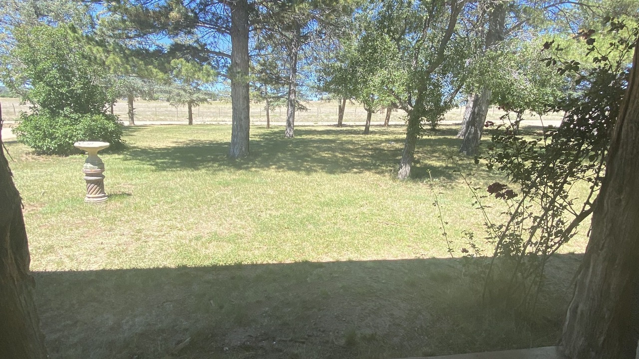 Photo of Outdoor in Young