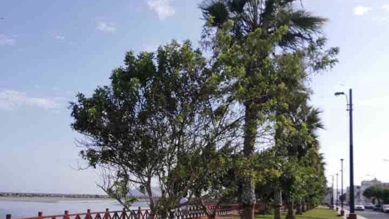 Photo of Outdoor in La Punta