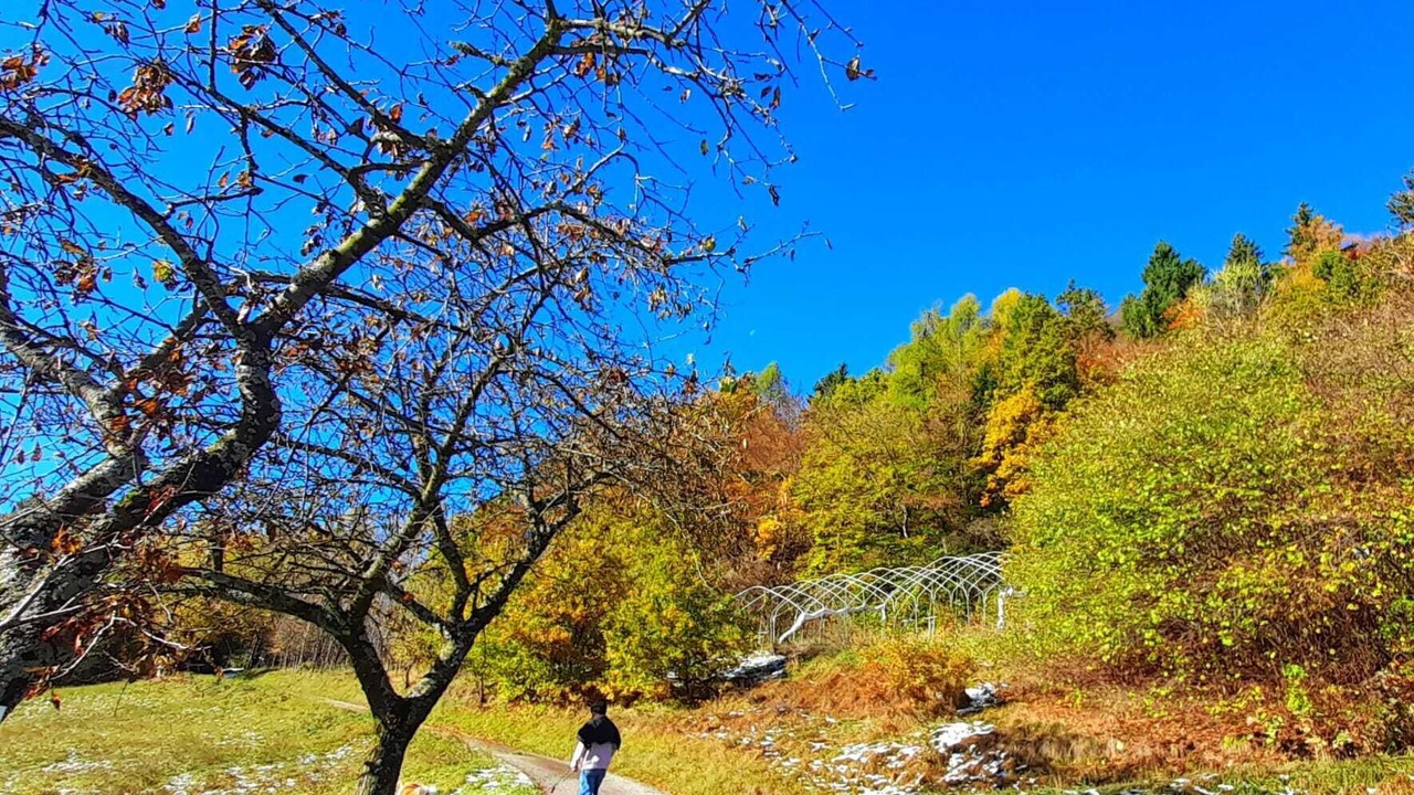 Photo of Outdoor in Sant'Orsola Terme