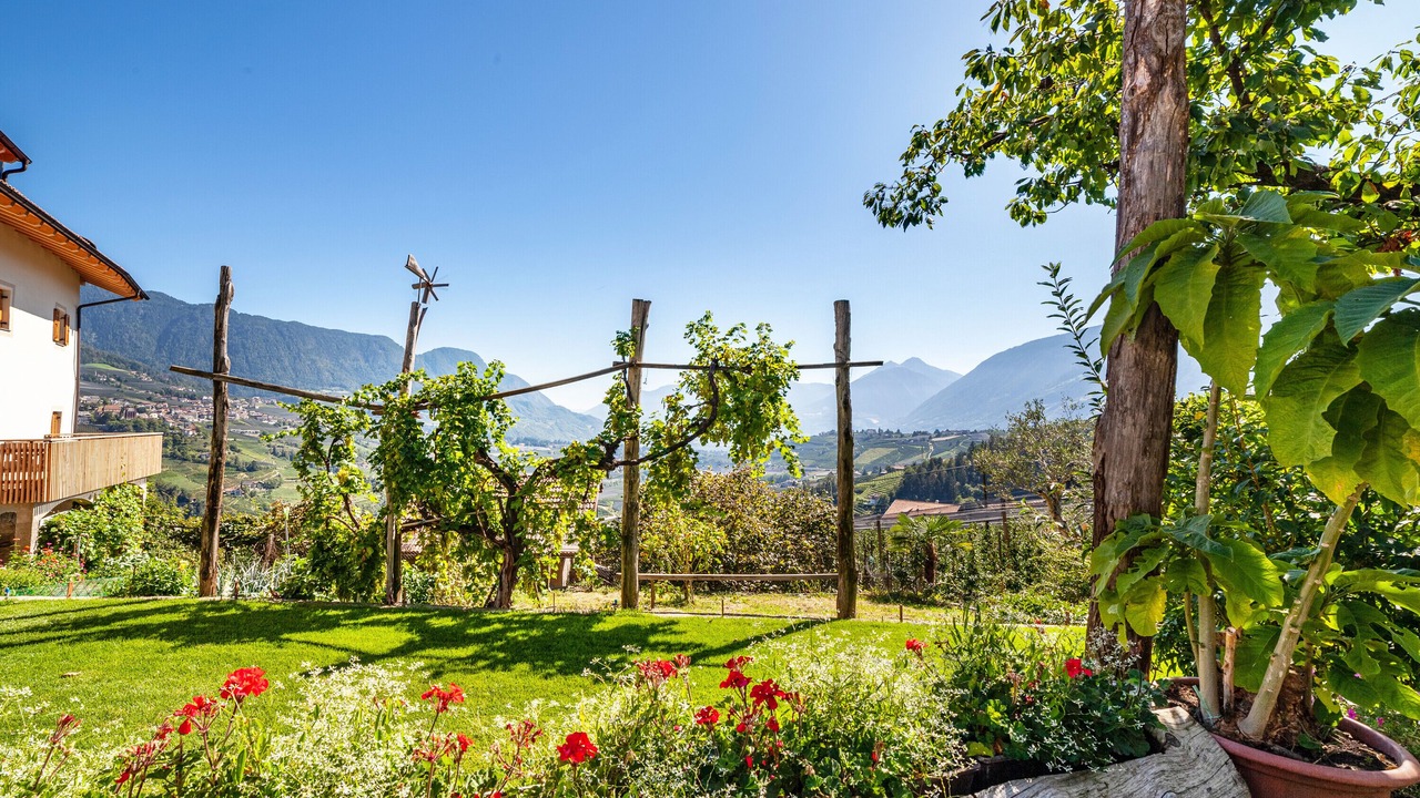 Photo of Outdoor in Caines