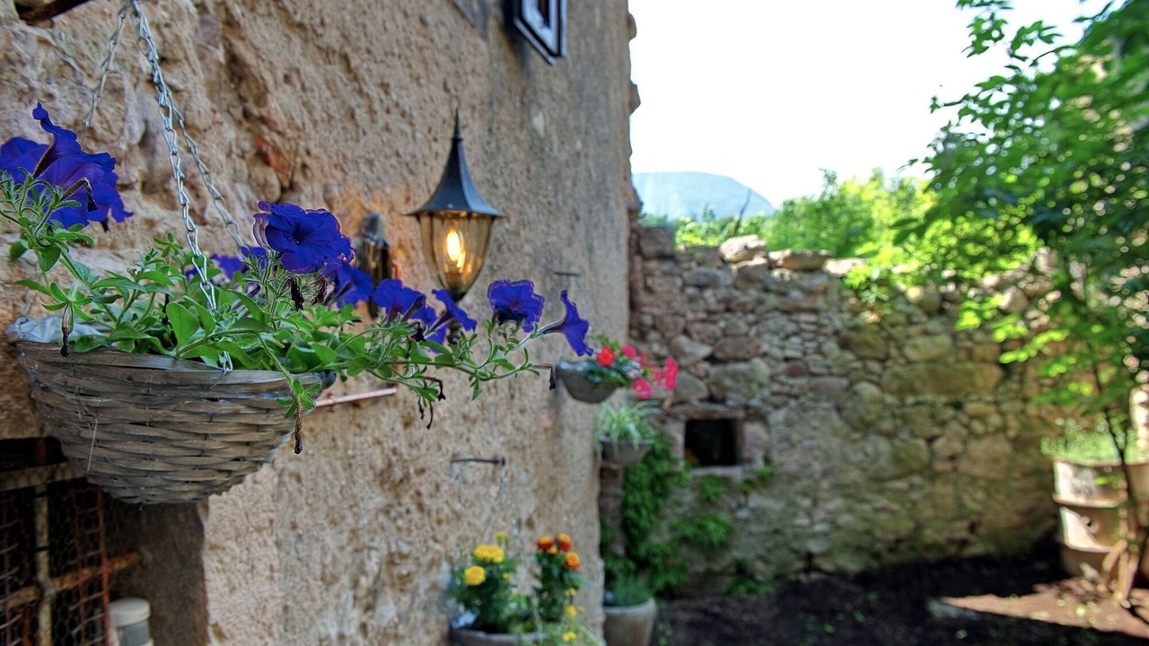 Photo of Outdoor in Calavino