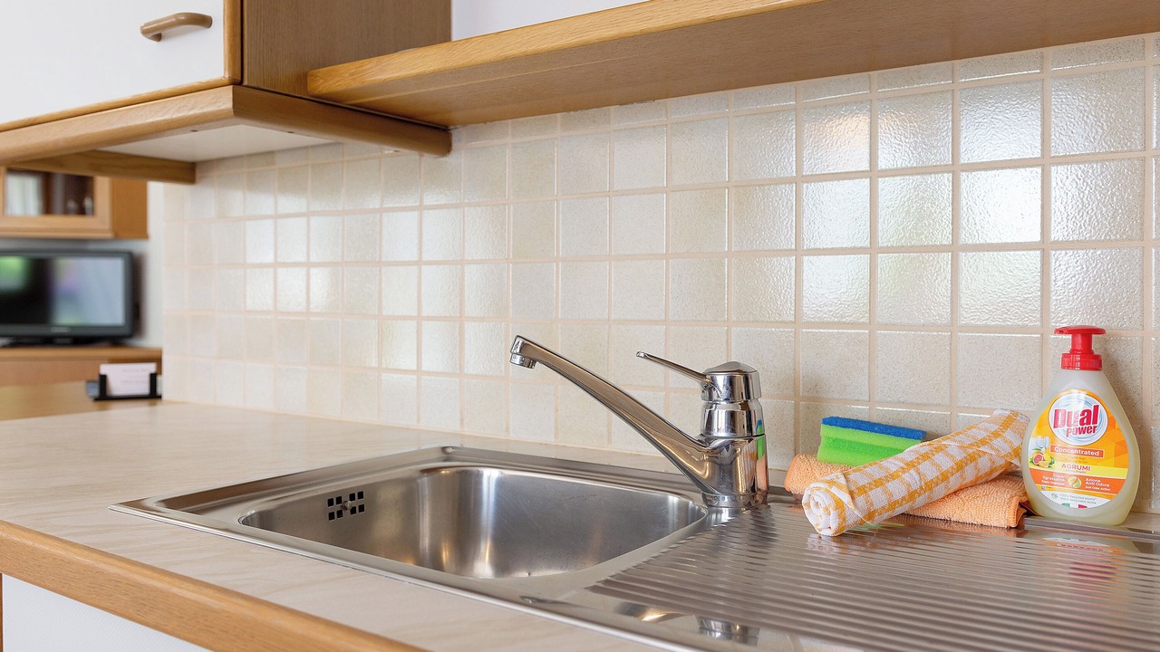 Photo of Kitchen in Plaus