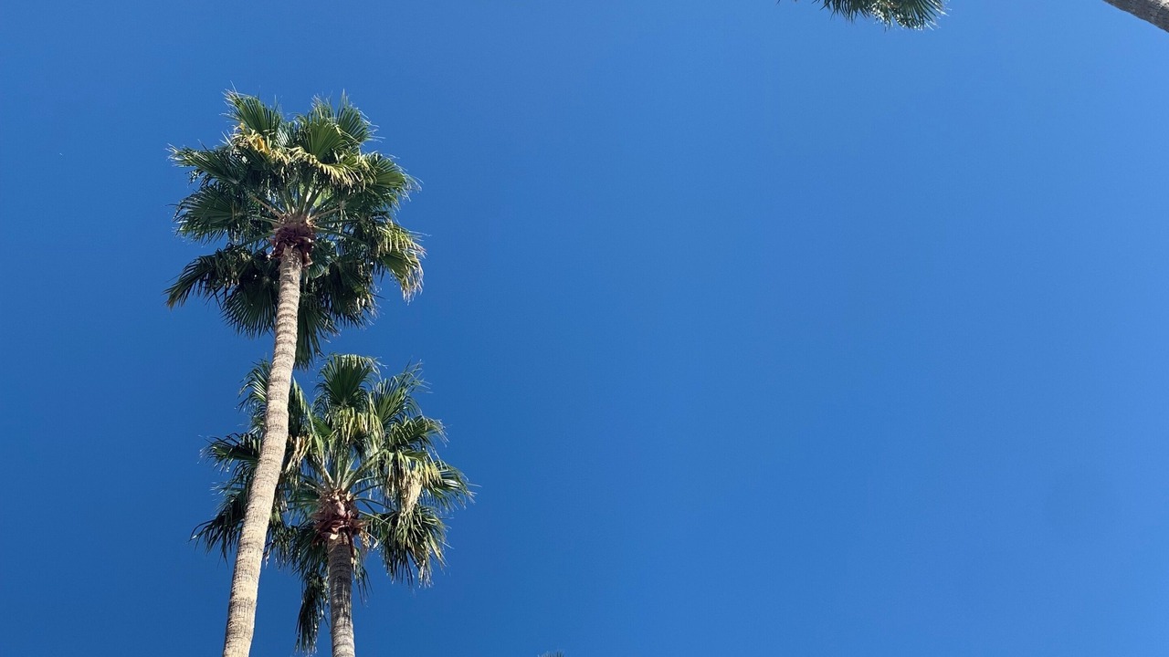 Photo of Outdoor in Mesa
