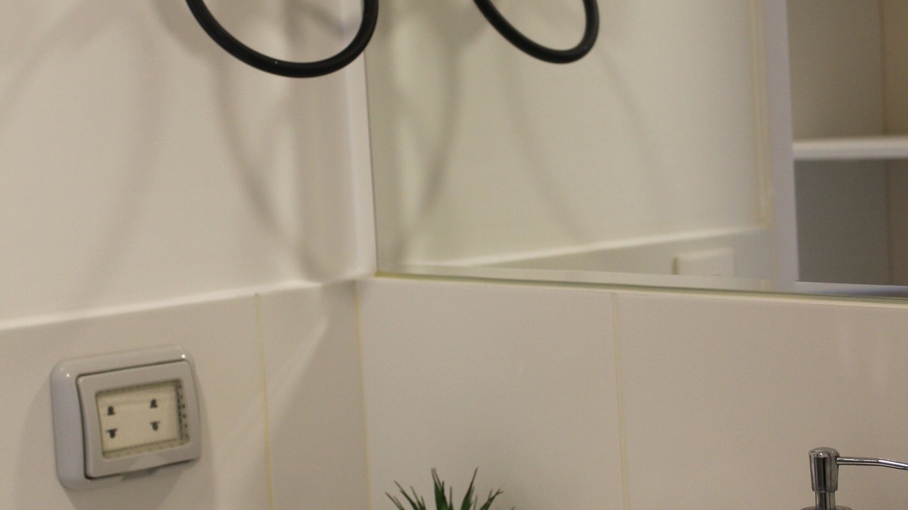 Photo of Bathroom in San Isidro Centro Financiero