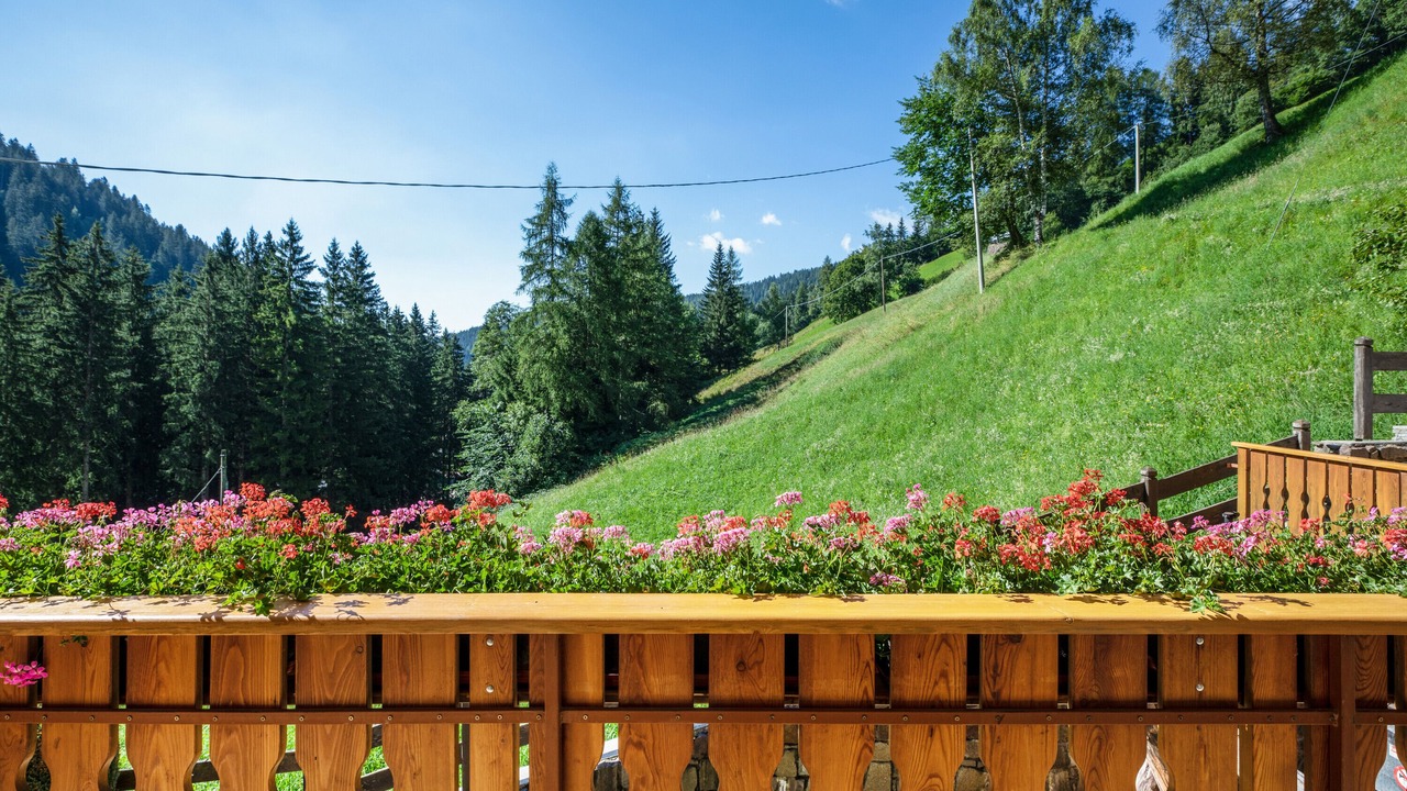Photo of Outdoor in Proves