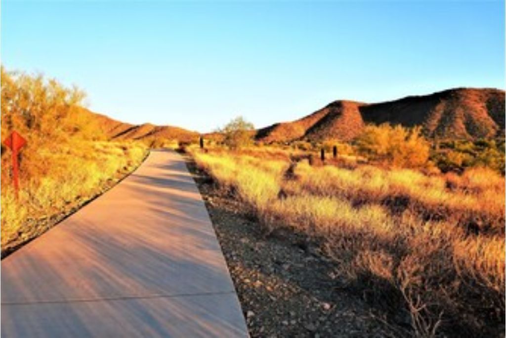 Photo of Others in McDowell Mountain Ranch