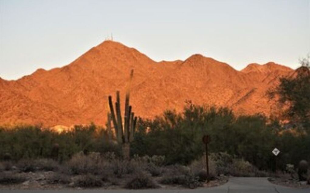 Photo of Outdoor in McDowell Mountain Ranch