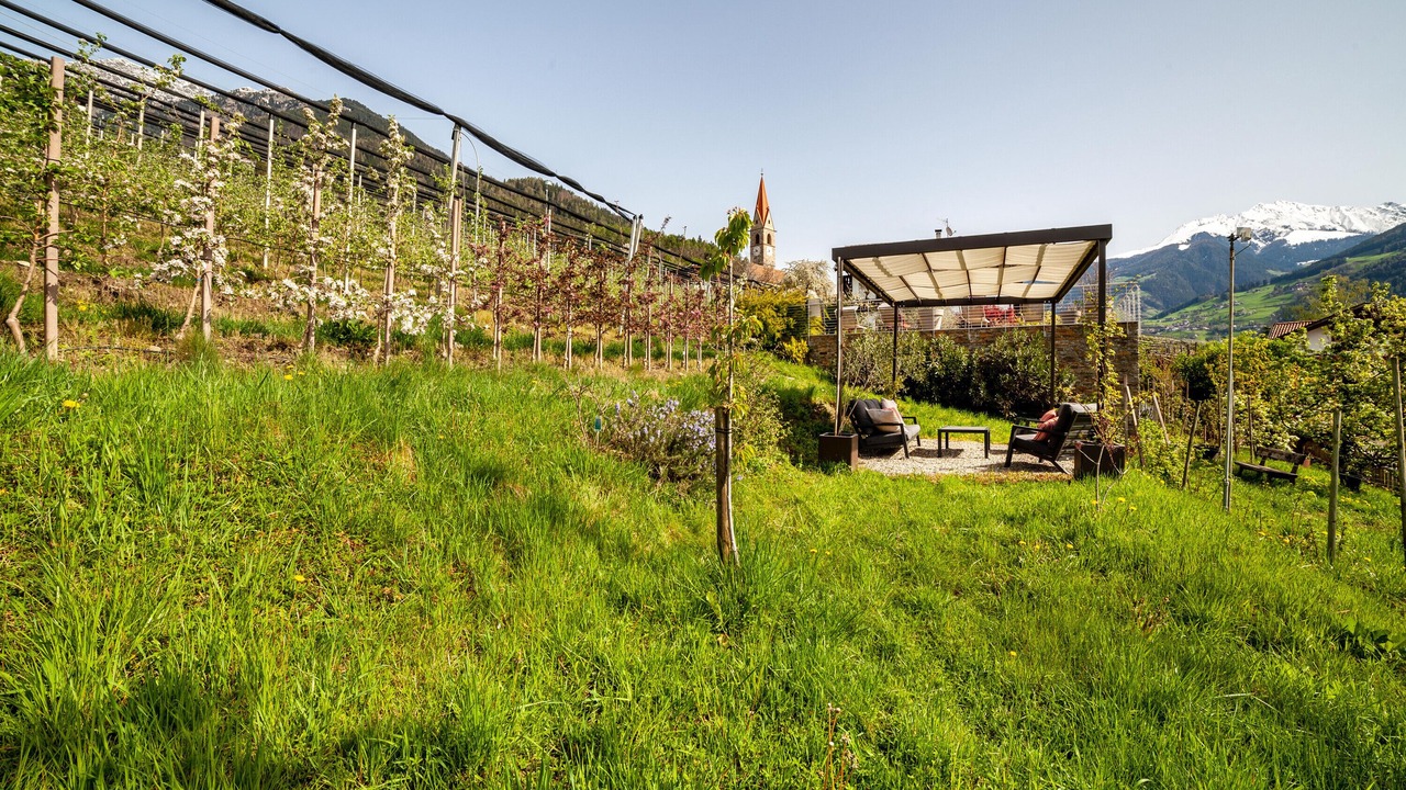 Photo of Outdoor in Caines
