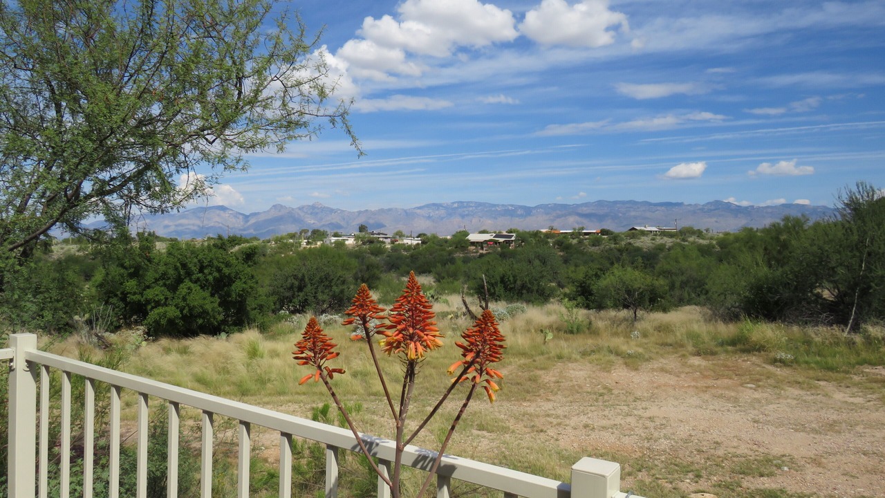 Photo of Outdoor in Tucson