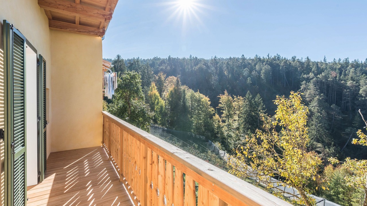 Photo of Outdoor in Petersberg
