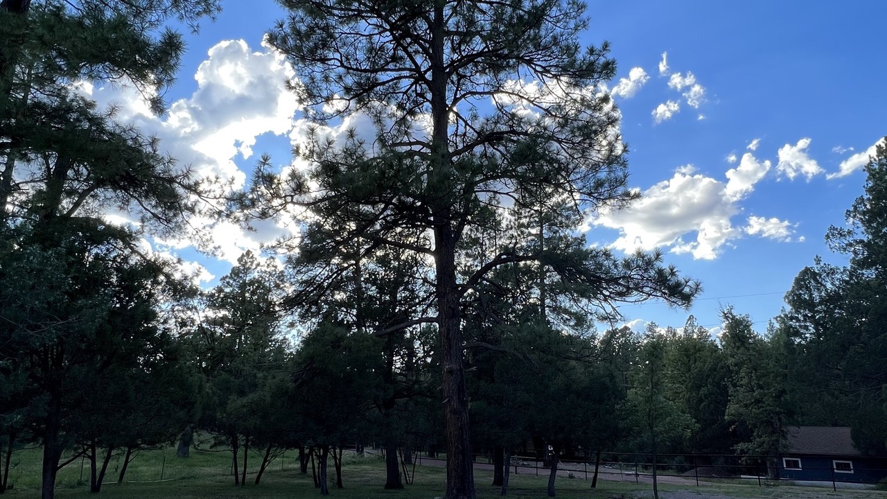 Photo of Outdoor in Payson