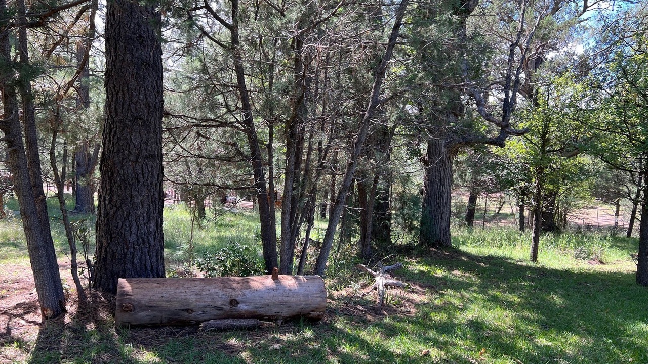 Photo of Outdoor in Payson