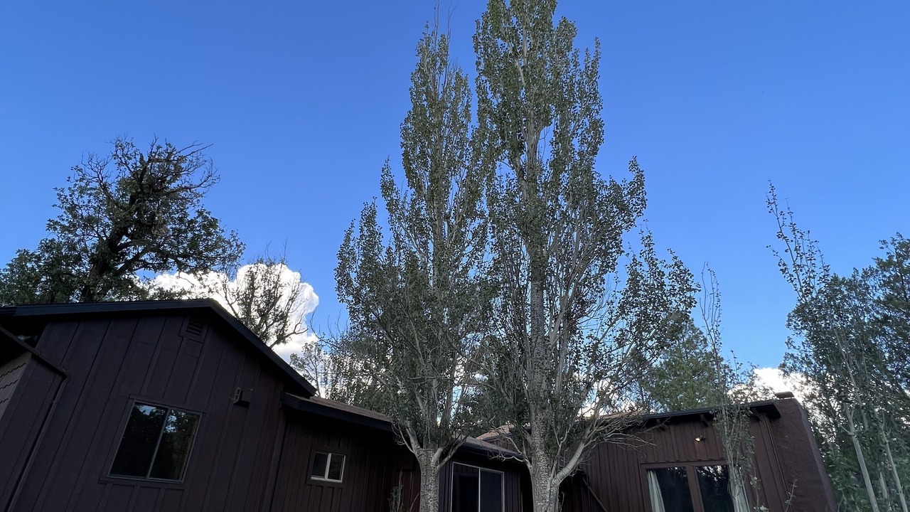 Photo of Outdoor in Payson