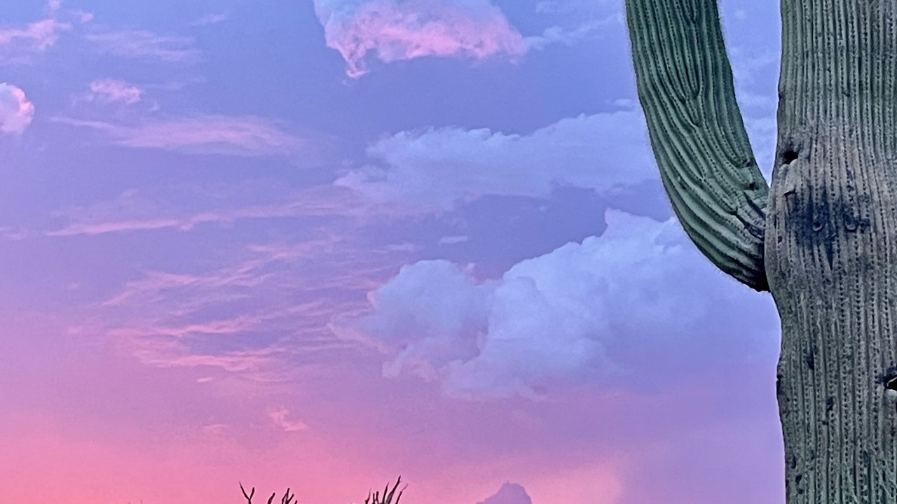 Photo of Others in Saguaro Miraflores