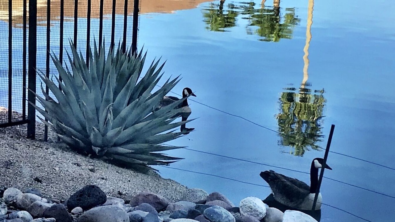 Photo of Outdoor in Desert Harbor
