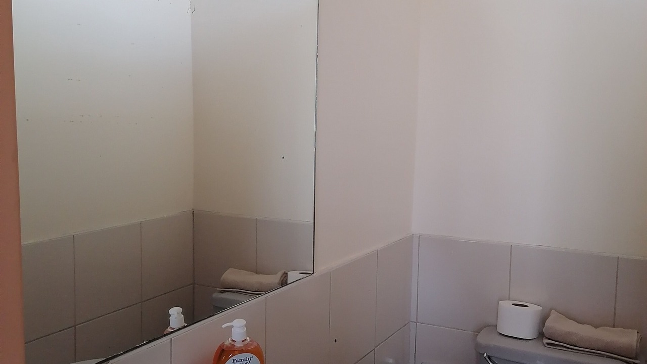 Photo of Bathroom in San Isidro Centro Financiero