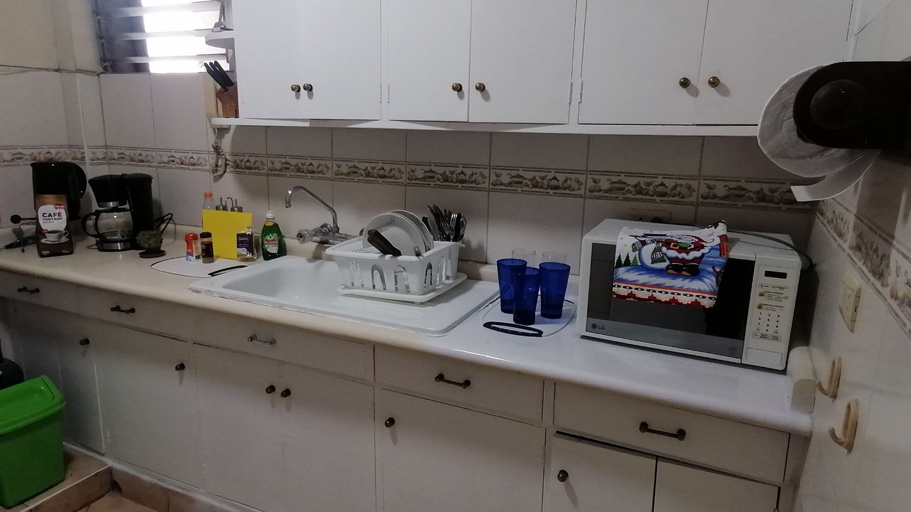 Photo of Kitchen in San Isidro Centro Financiero