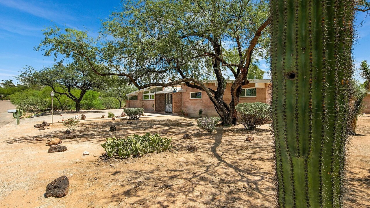 Photo of Others in Tucson