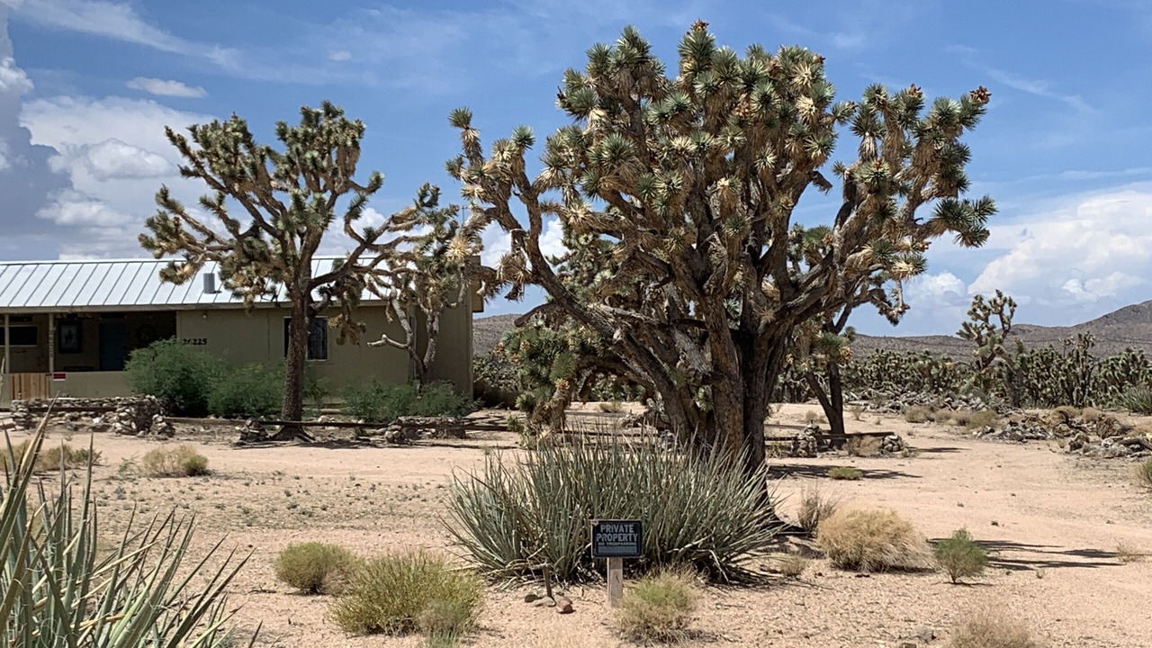 Photo of Outdoor in Meadview