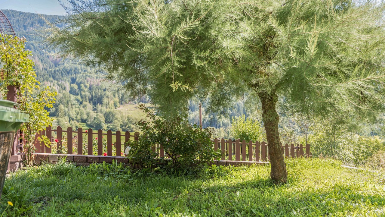 Photo of Outdoor in Baselga di Pine