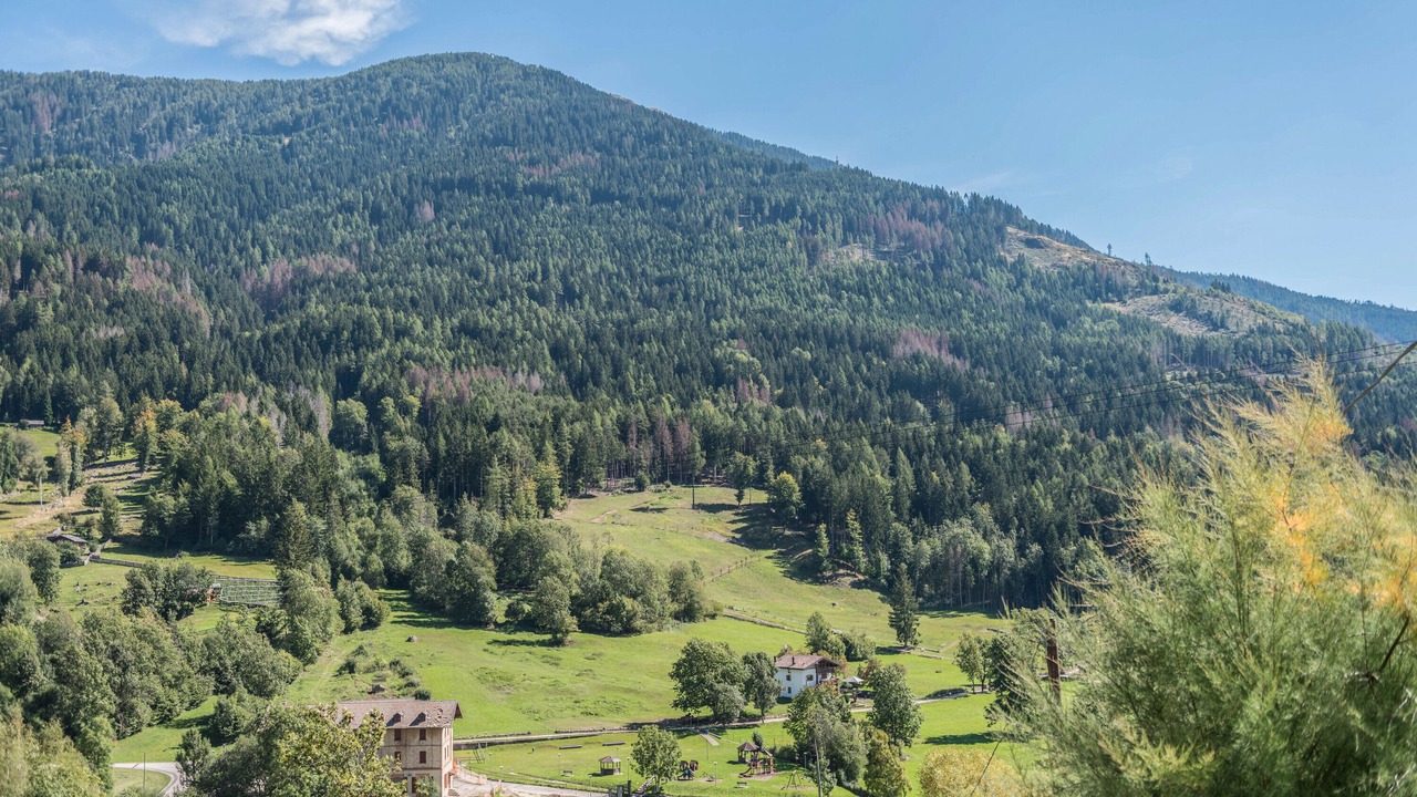 Photo of Others in Baselga di Pine