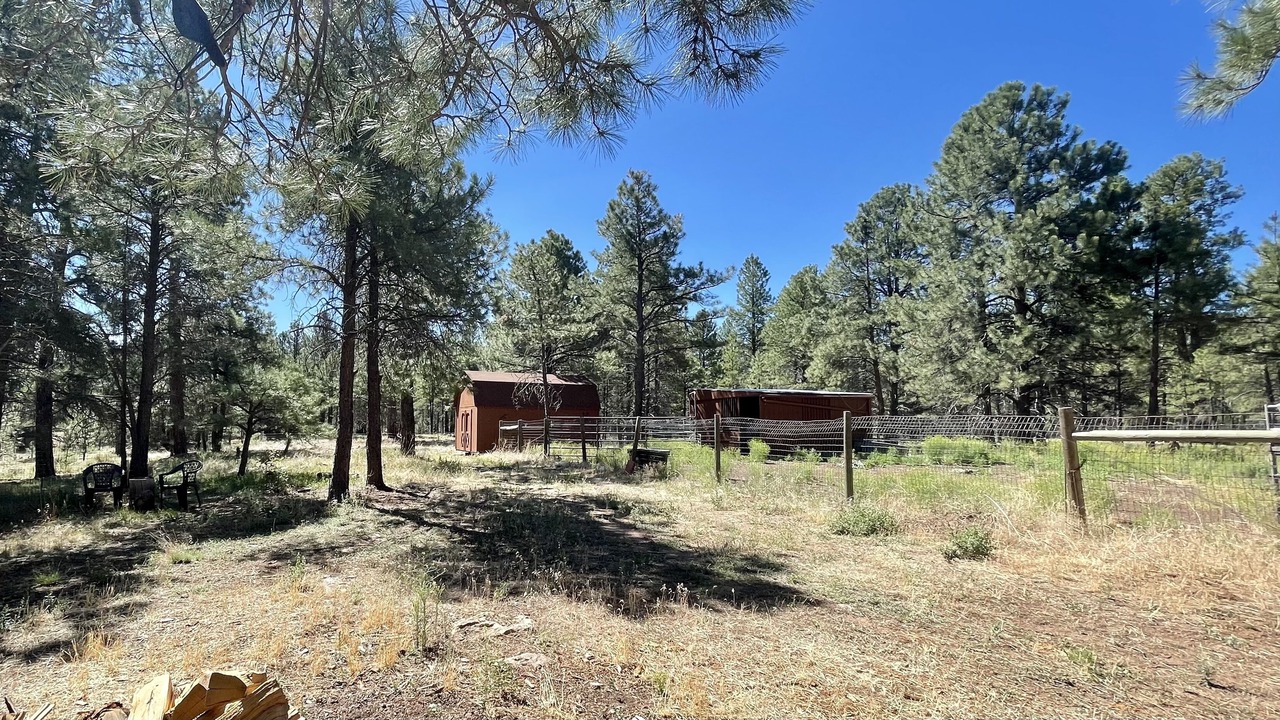 Photo of Outdoor in Flagstaff