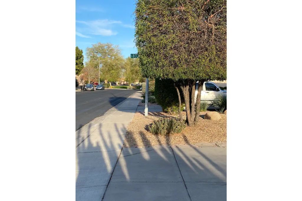 Photo of Others in Tempe