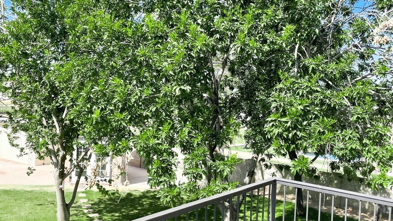 Photo of Outdoor in Gilbert