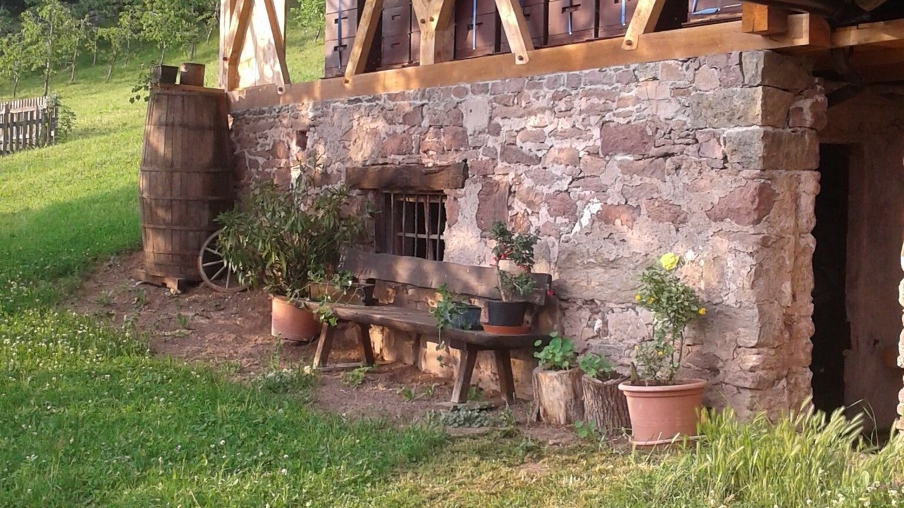 Photo of Outdoor in Verano