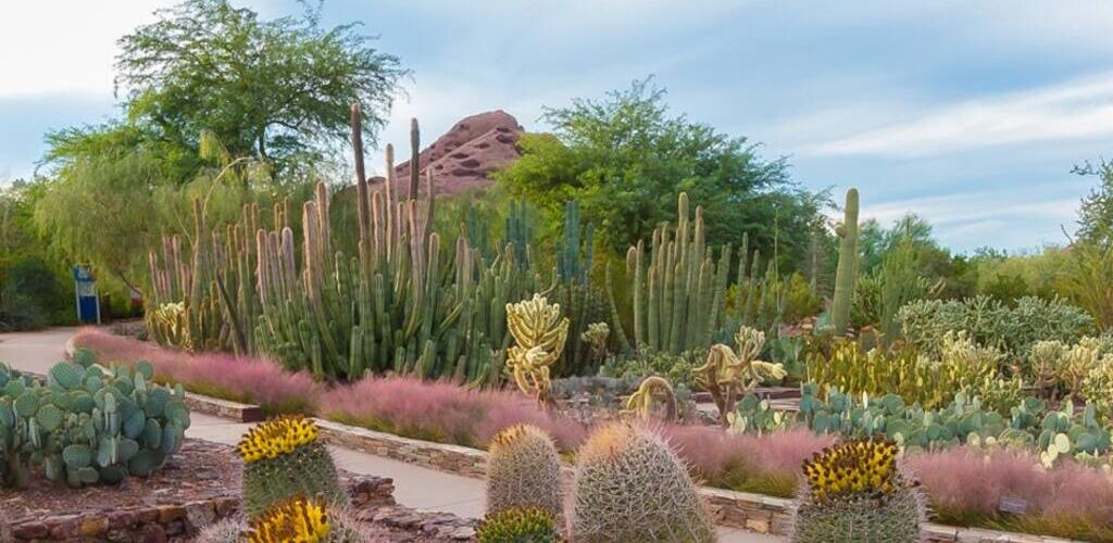 Photo of Bathroom in Pointe Scottsdale