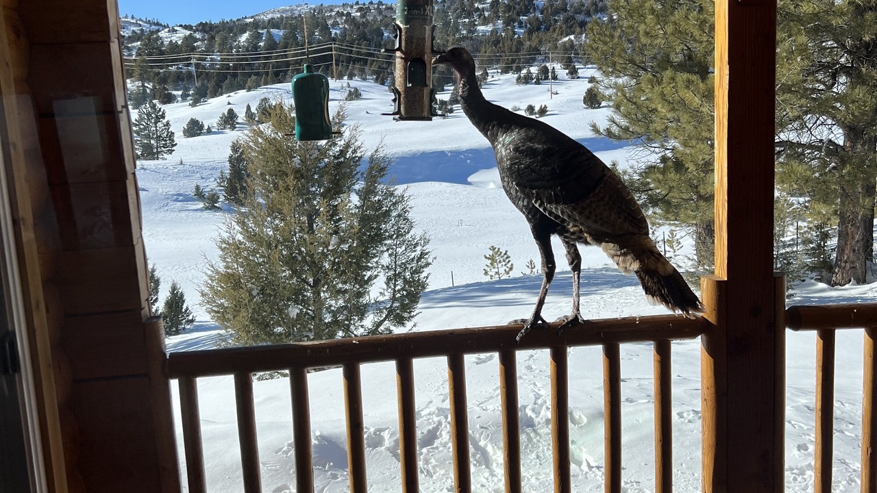 Photo of Outdoor in Long Valley Junction